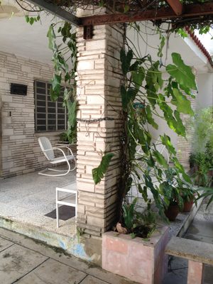 We were all seated in the backyard which was quite pleasant.